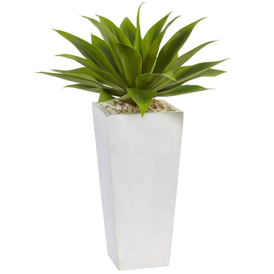 Michaels, 2ft. Agave In White Planter – Category: Potted Plants